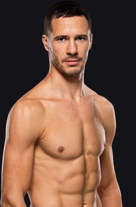Borislav Nikolić